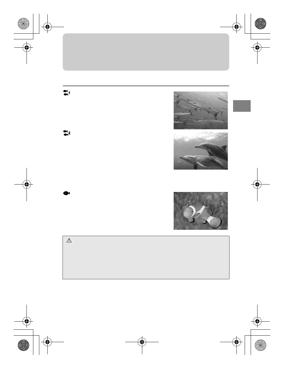 Prise de vues sous l’eau | Olympus PT-045 User Manual | Page 81 / 212