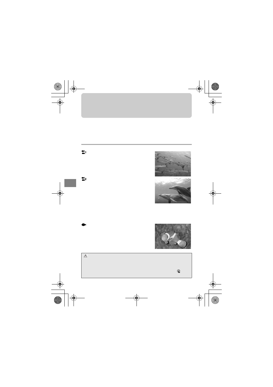De escena, Tipos de escenas de toma fotográficas submarinas | Olympus PT-035 User Manual | Page 176 / 268