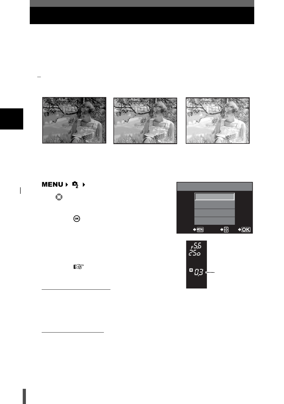 Ae bracketing | Olympus E-400 User Manual | Page 42 / 164