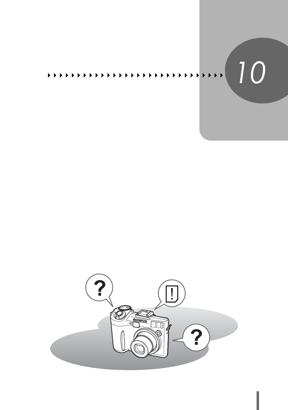 10 appendix, Appendix, P. 155 | Olympus SP-350 User Manual | Page 155 / 195