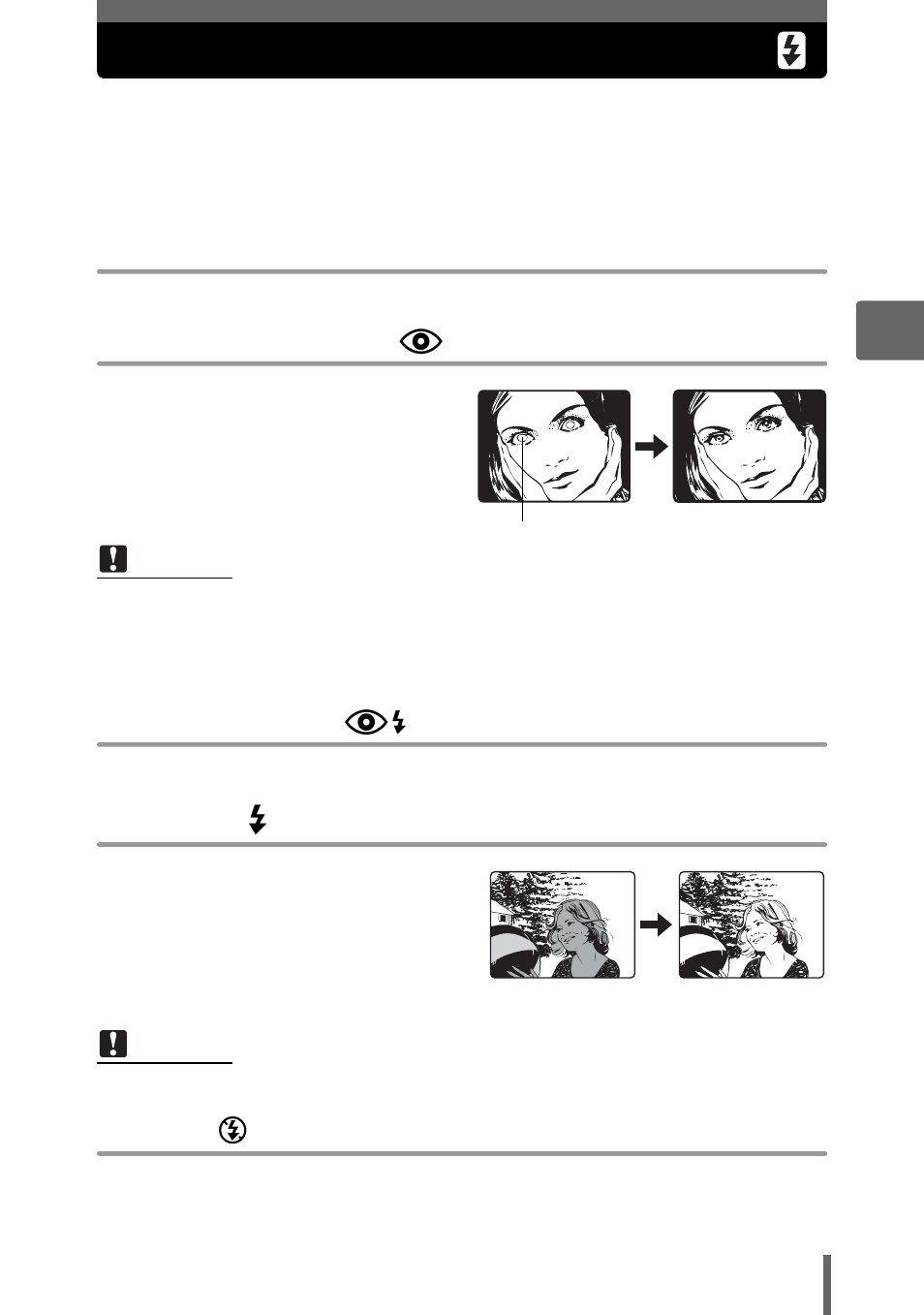 Flash shooting, P. 43 | Olympus SP-350 User Manual | Page 43 / 195