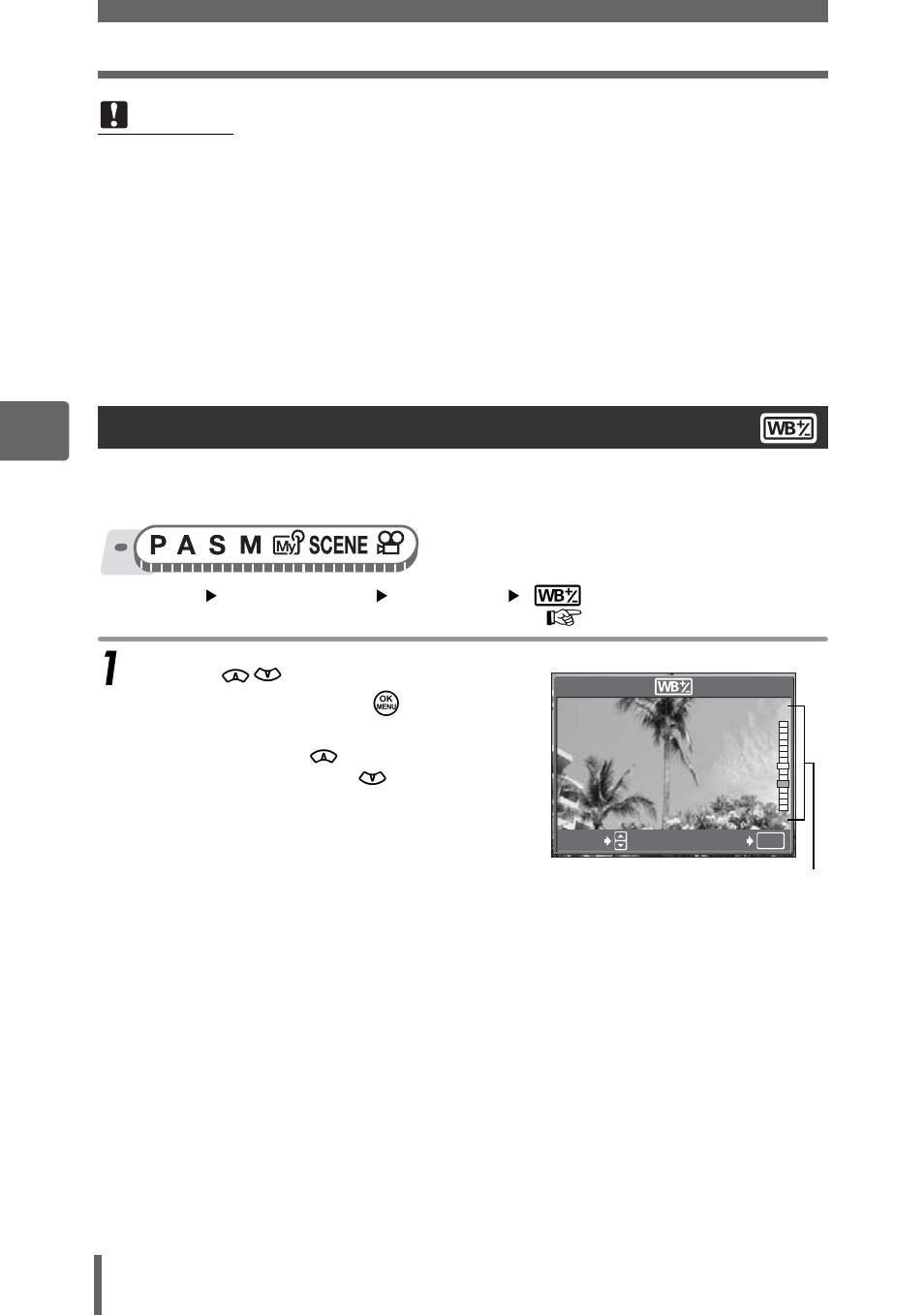 White balance compensation | Olympus SP-350 User Manual | Page 66 / 195