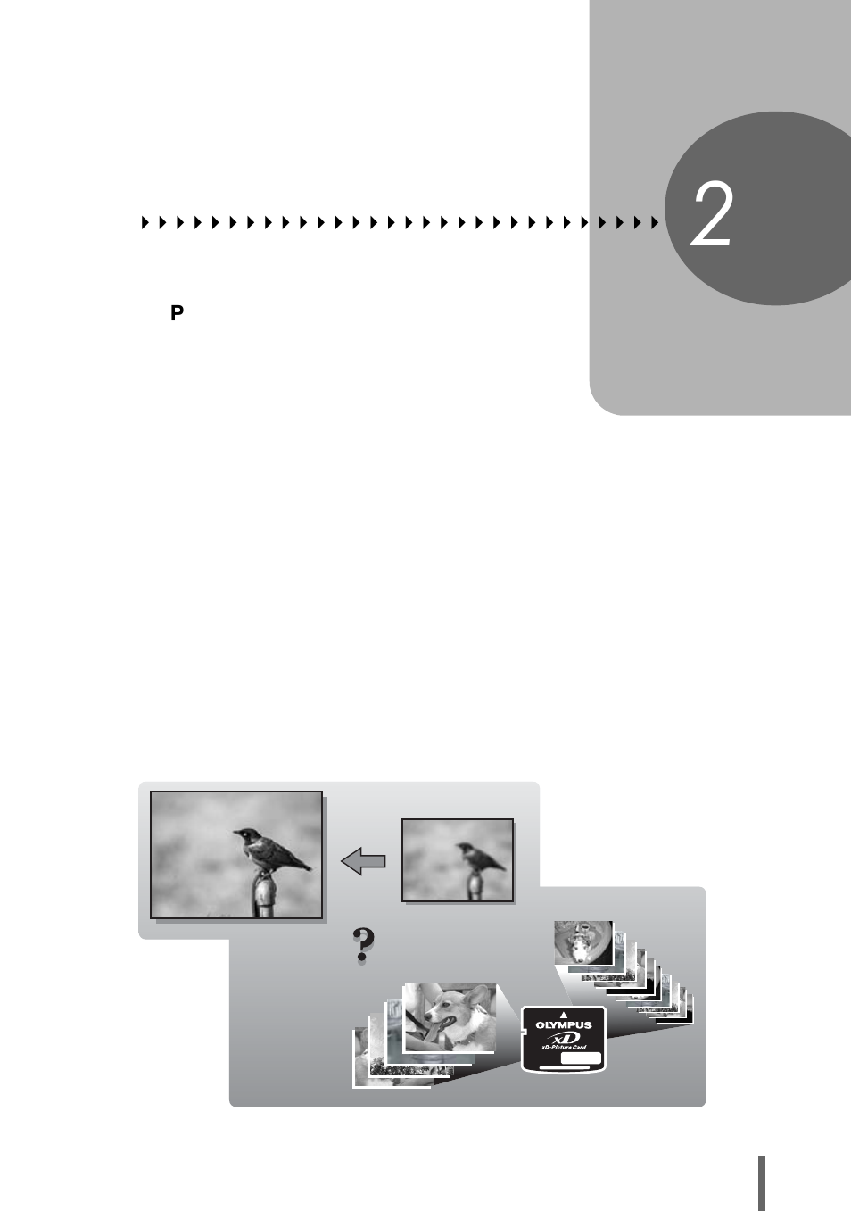 2 tips before you start taking pictures, Tips before you start taking pictures, P.17 | Ideas | Olympus µ-mini DIGITAL S User Manual | Page 17 / 158