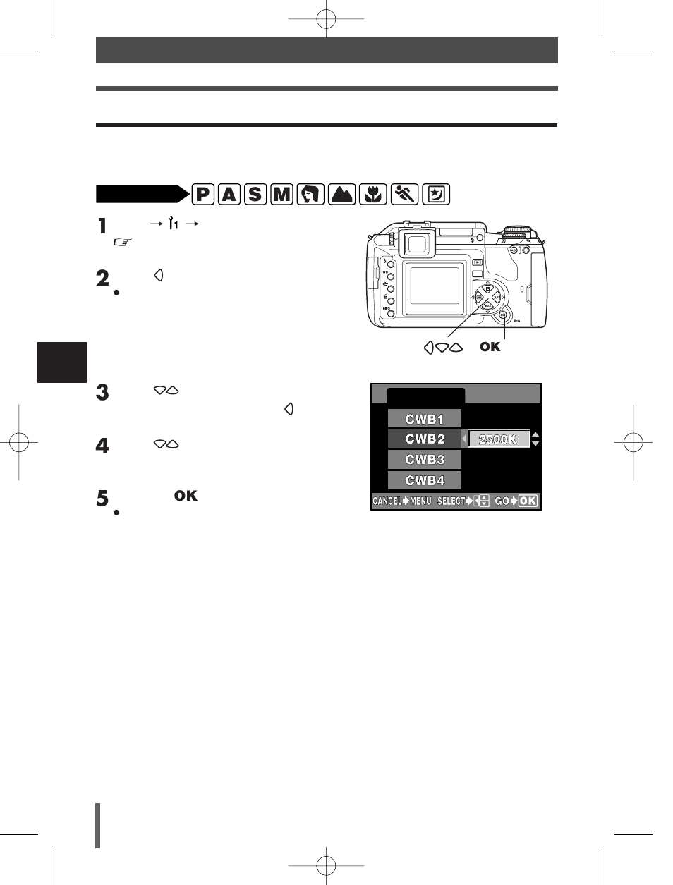 P a s m | Olympus E-300 User Manual | Page 100 / 211