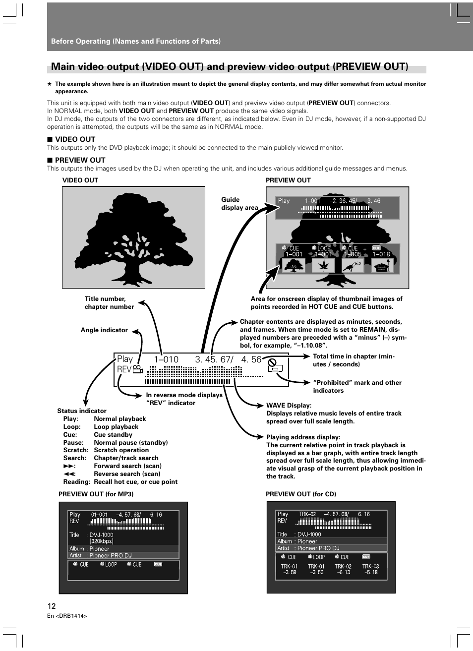 Pioneer DVJ-1000 User Manual | Page 18 / 319
