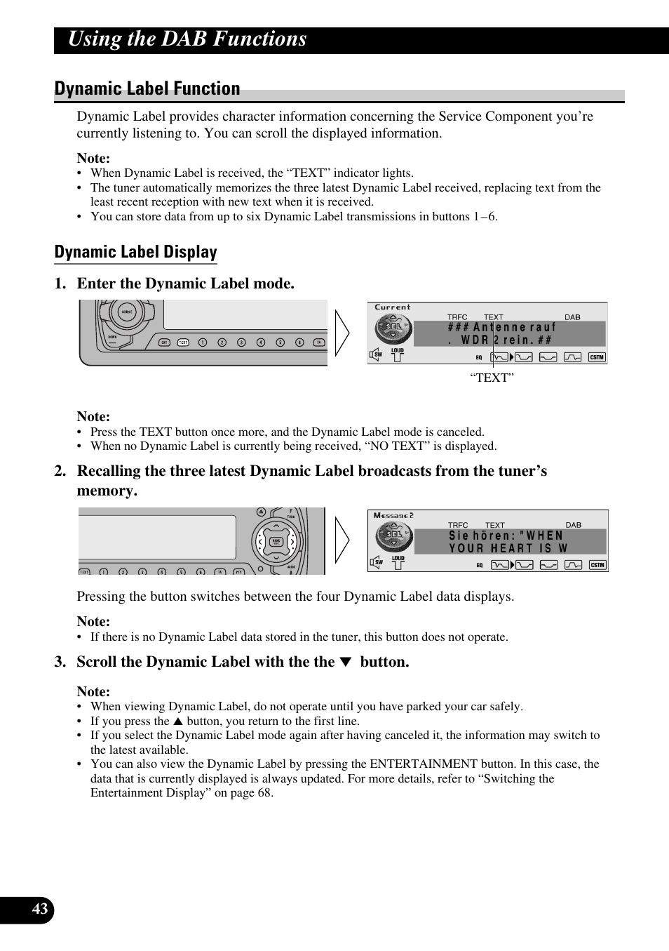 Dynamic label function, Dynamic label display, Using the dab functions | Pioneer DEH-P90DAB User Manual | Page 44 / 148