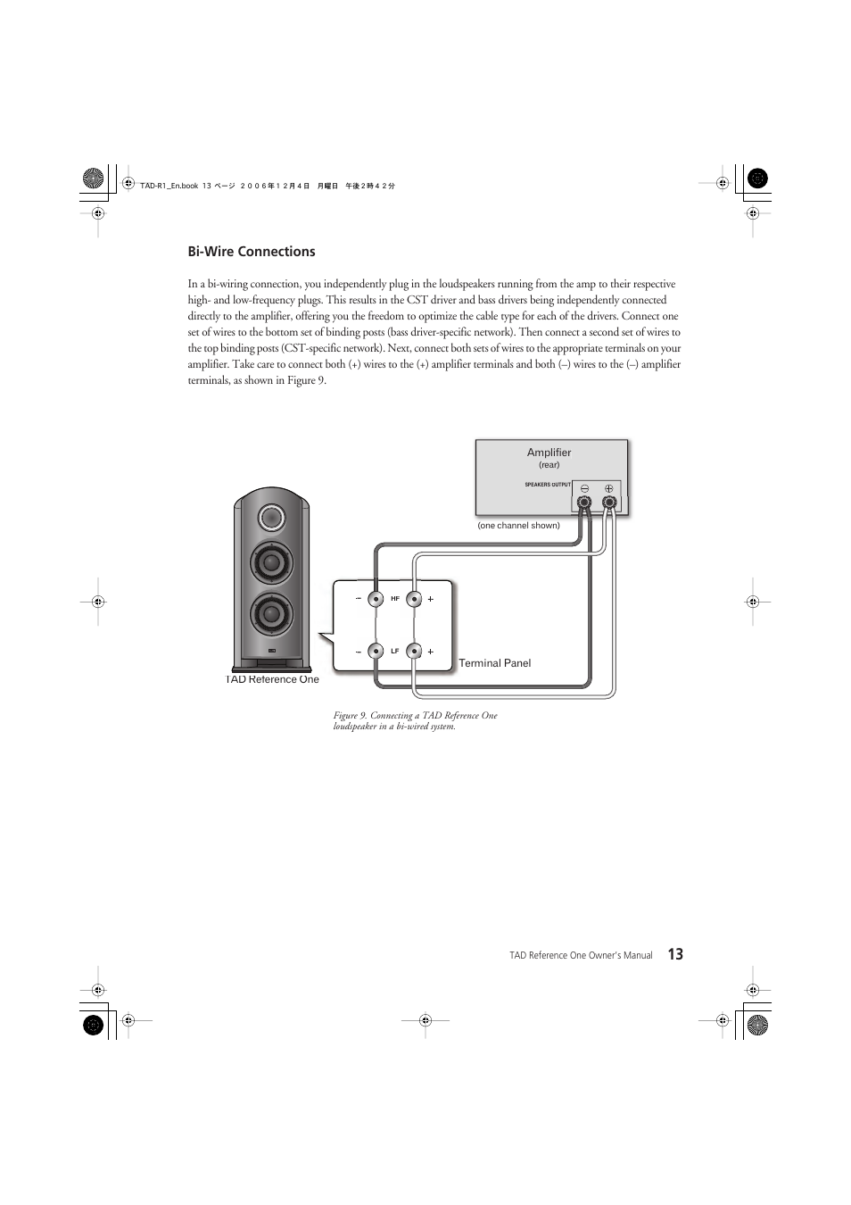 Bi-wire connections | Pioneer TAD-R1 User Manual | Page 13 / 20