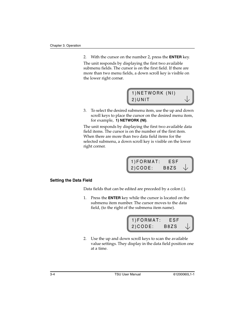 Setting the data field -4 | ADTRAN T1-FT1 User Manual | Page 40 / 78