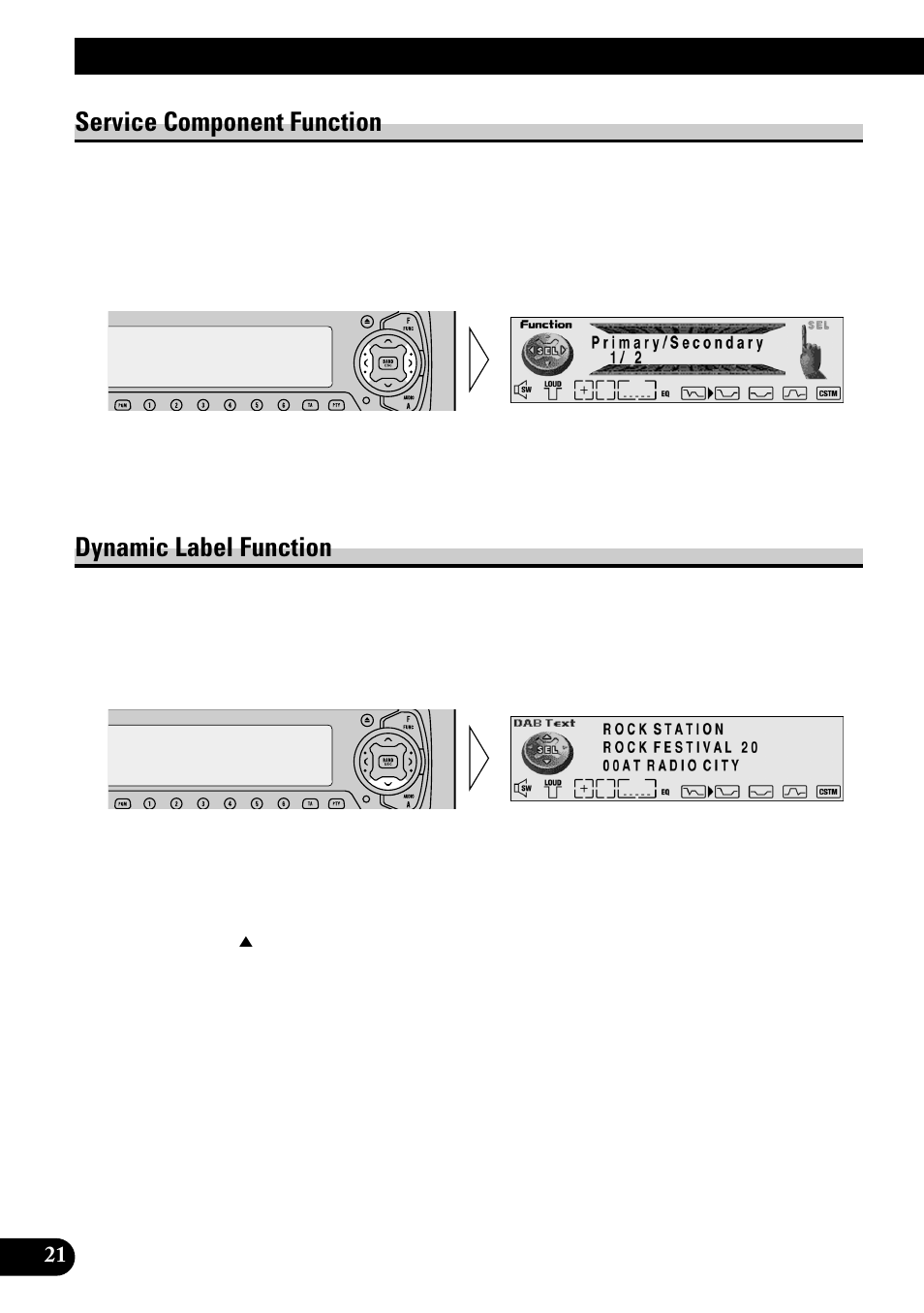 Service component function dynamic label function, Using the dab functions with deh-p9100r, Service component function | Dynamic label function | Pioneer GEX-P700DAB User Manual | Page 22 / 124