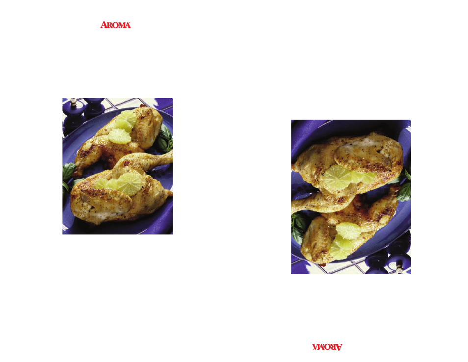 Aroma ART-818 E/E User Manual | Page 2 / 16