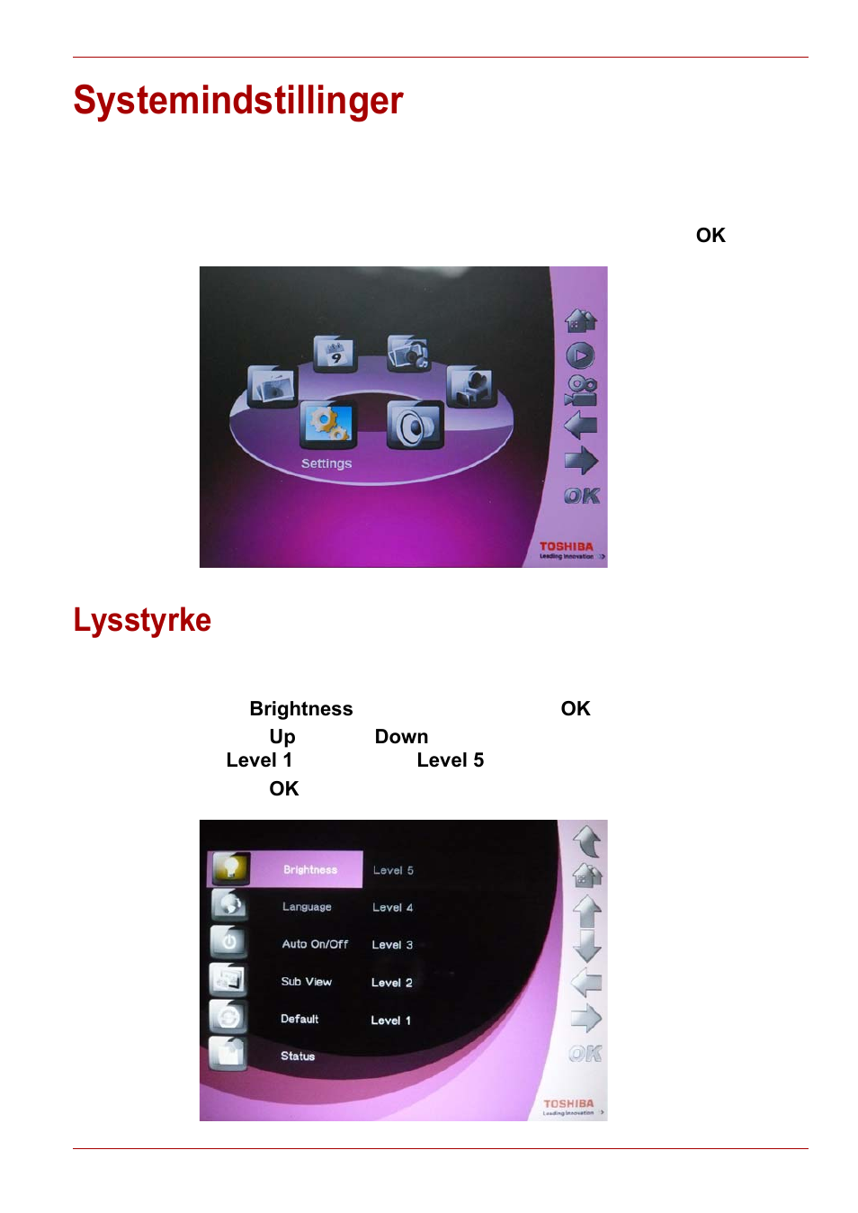 Systemindstillinger, Lysstyrke | Toshiba Gigaframe L80-81 User Manual | Page 133 / 870