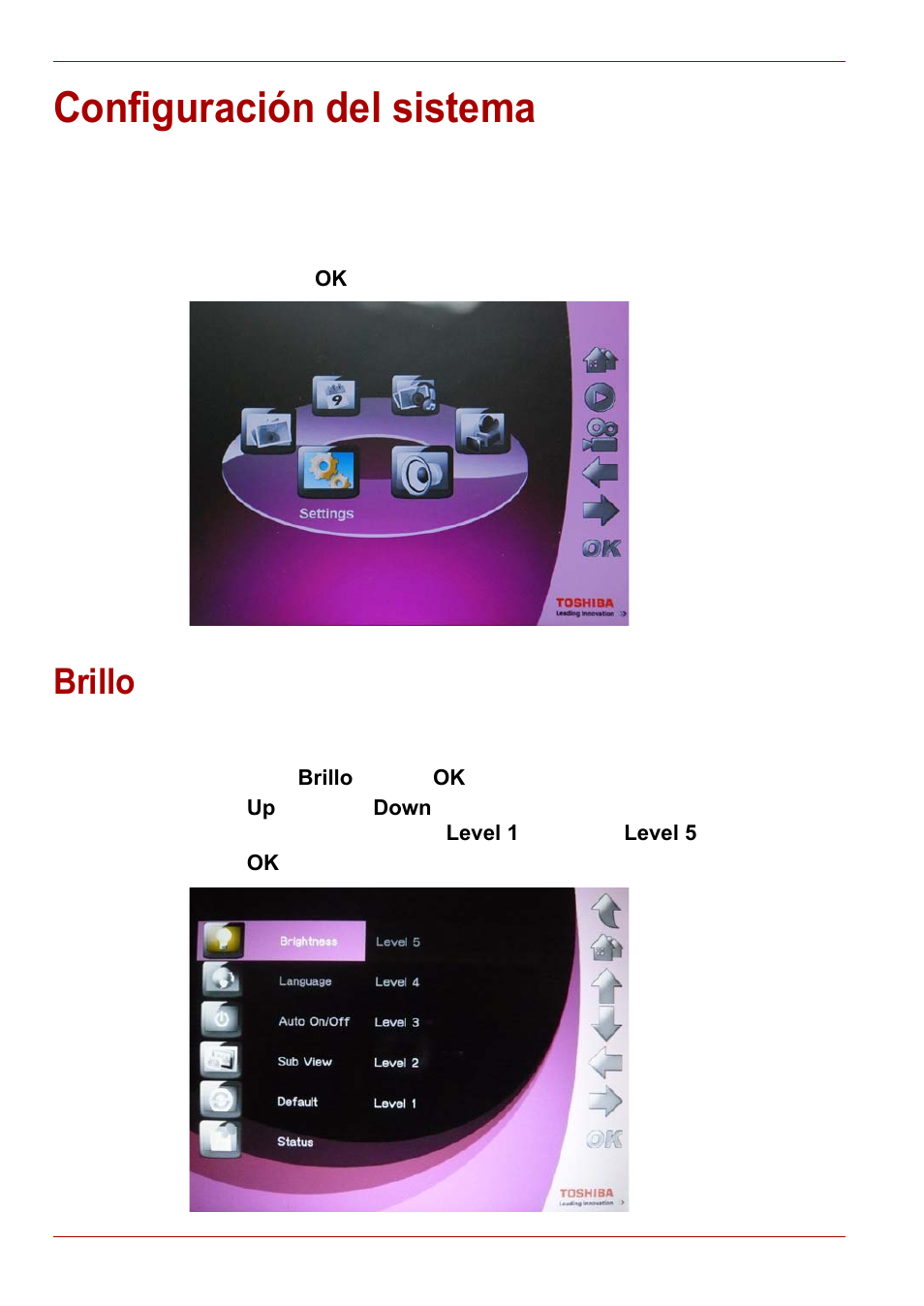 Configuración del sistema, Brillo | Toshiba Gigaframe L80-81 User Manual | Page 182 / 870