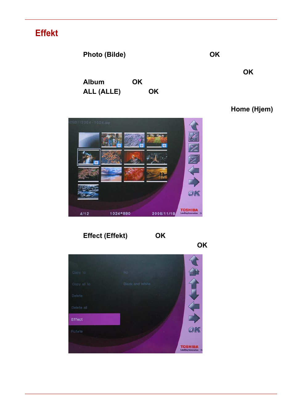Effekt | Toshiba Gigaframe L80-81 User Manual | Page 401 / 870