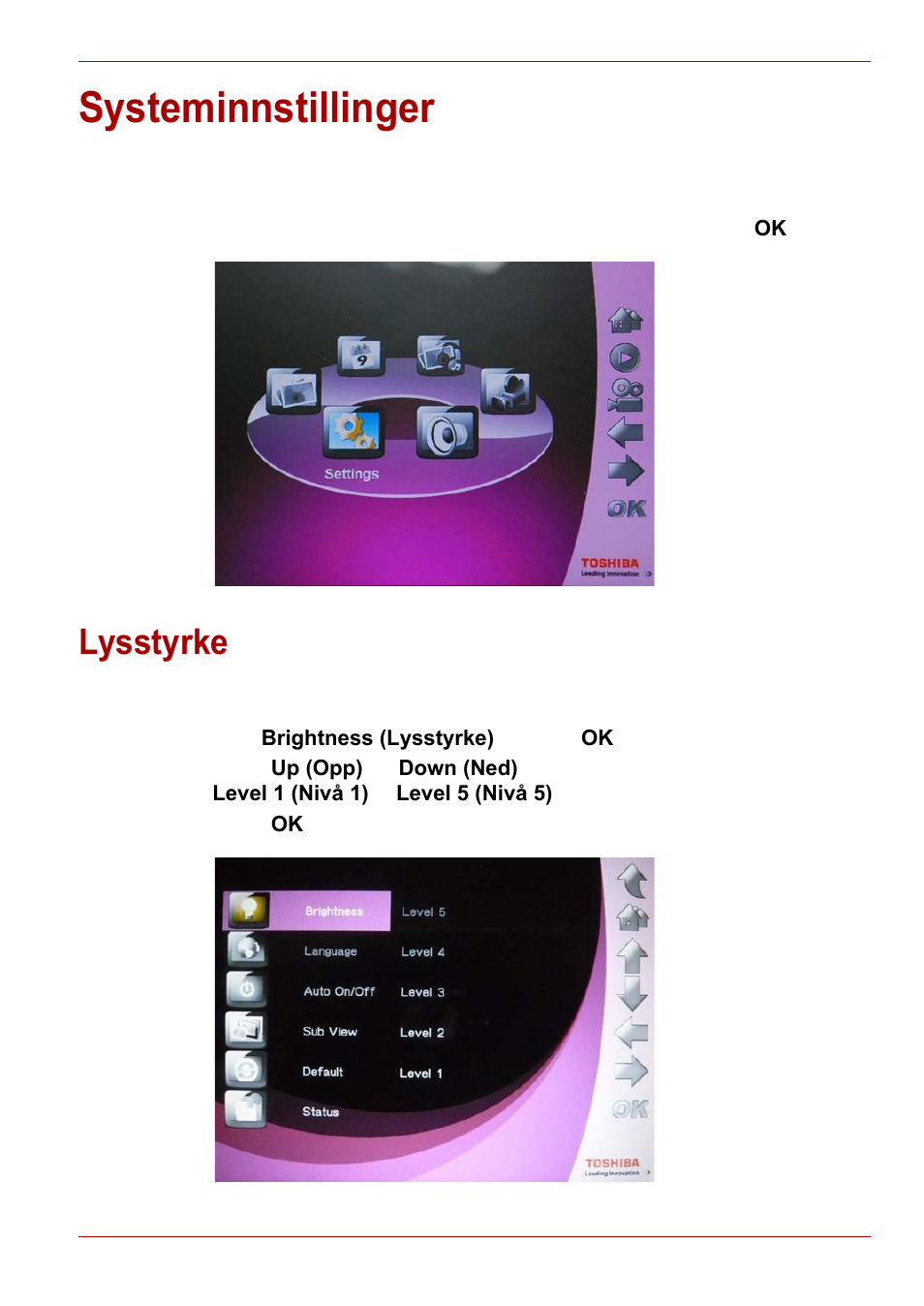 Systeminnstillinger, Lysstyrke | Toshiba Gigaframe L80-81 User Manual | Page 423 / 870