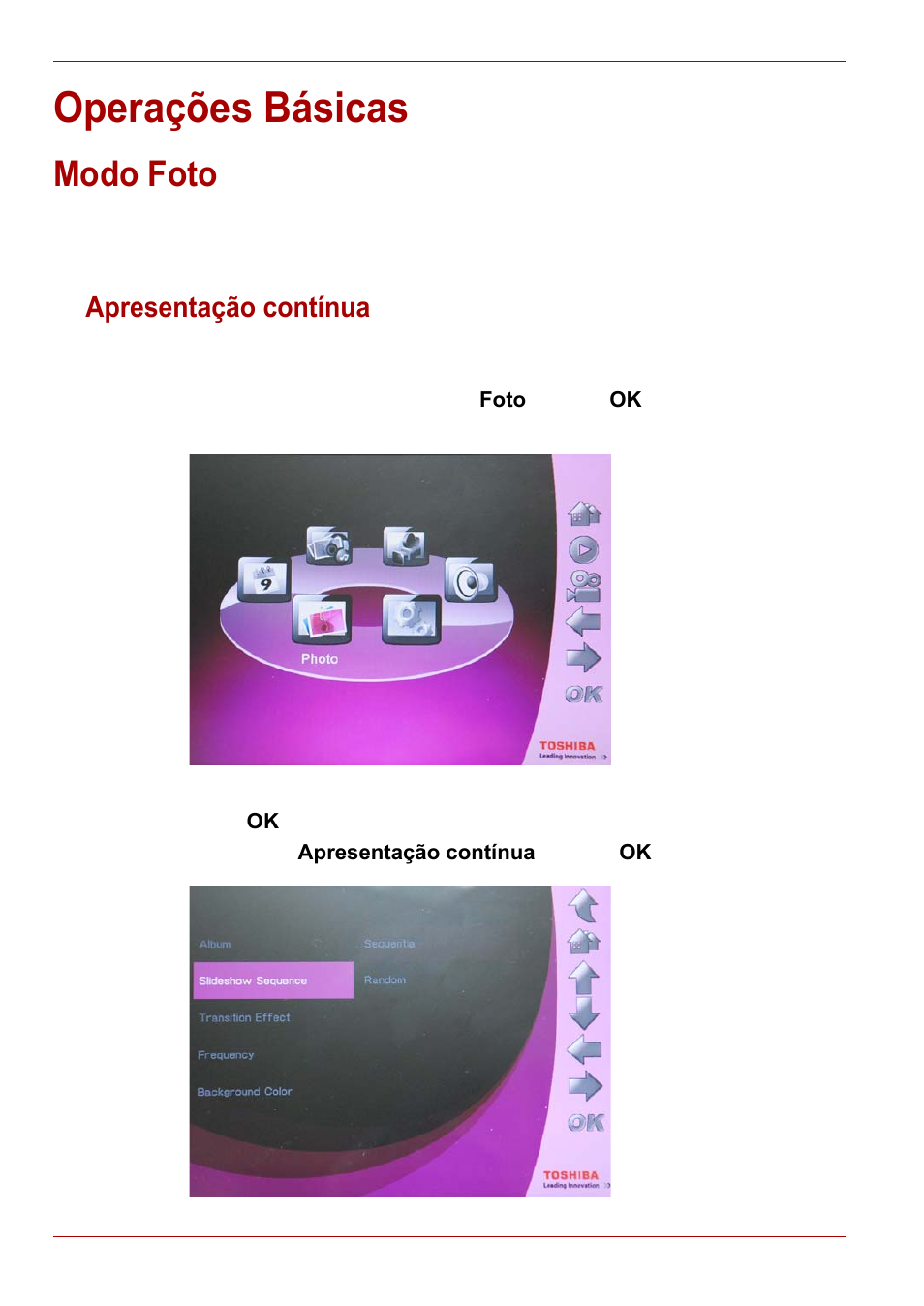 Operações básicas, Modo foto, Apresentação contínua | Toshiba Gigaframe L80-81 User Manual | Page 444 / 870
