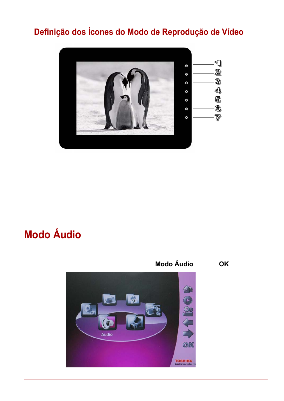 Modo áudio | Toshiba Gigaframe L80-81 User Manual | Page 457 / 870