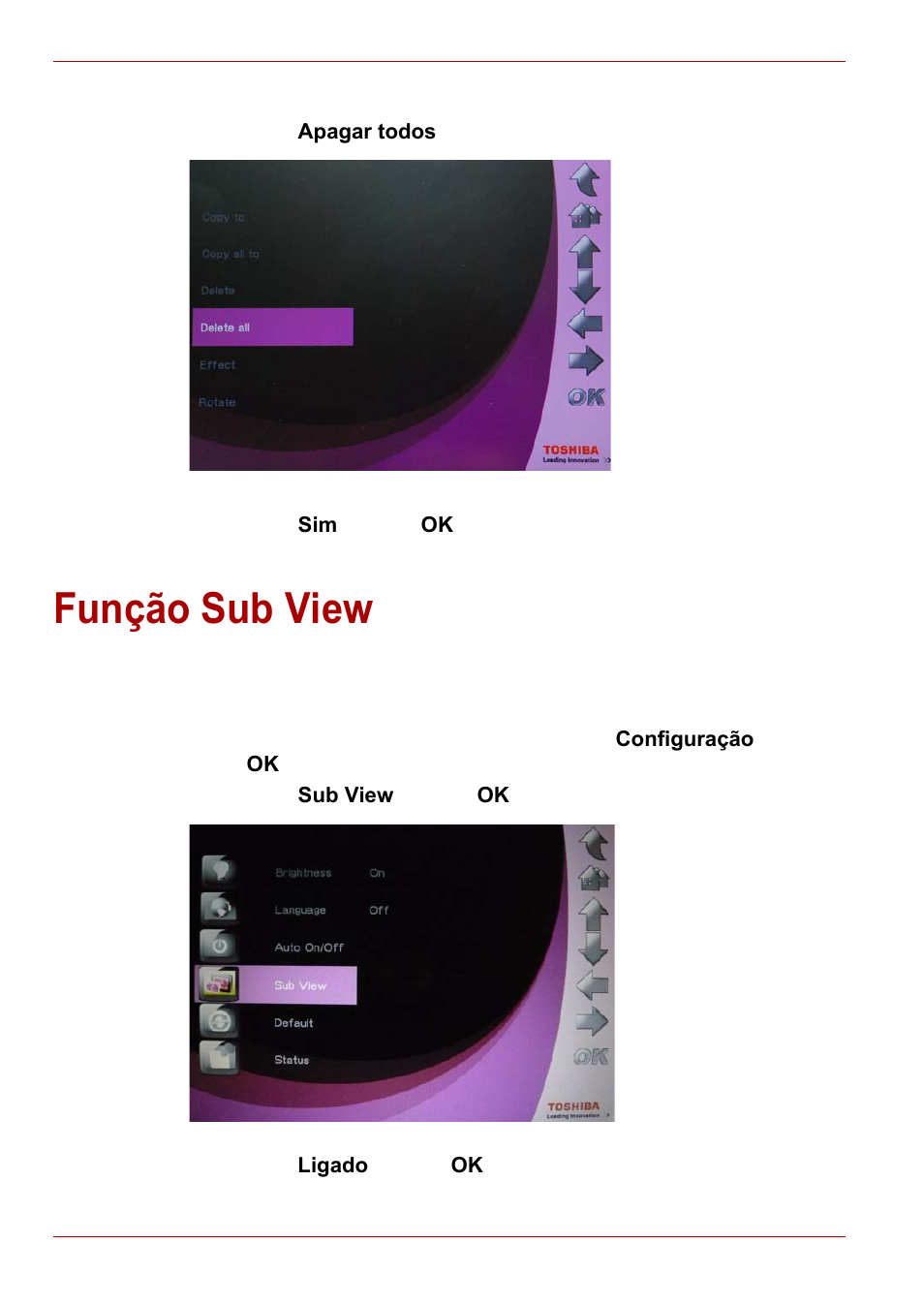 Função sub view | Toshiba Gigaframe L80-81 User Manual | Page 462 / 870