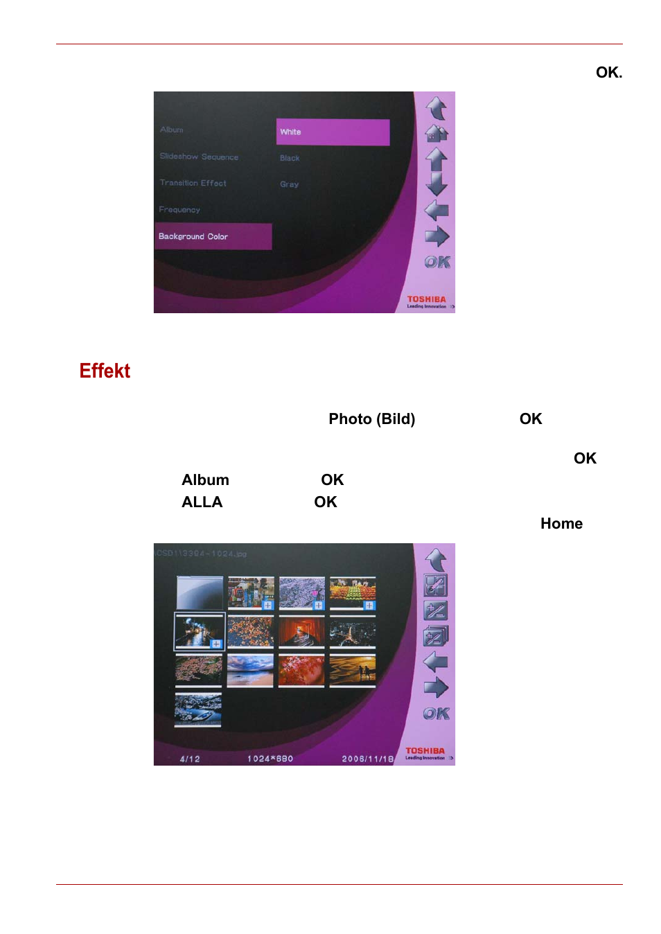 Effekt | Toshiba Gigaframe L80-81 User Manual | Page 495 / 870