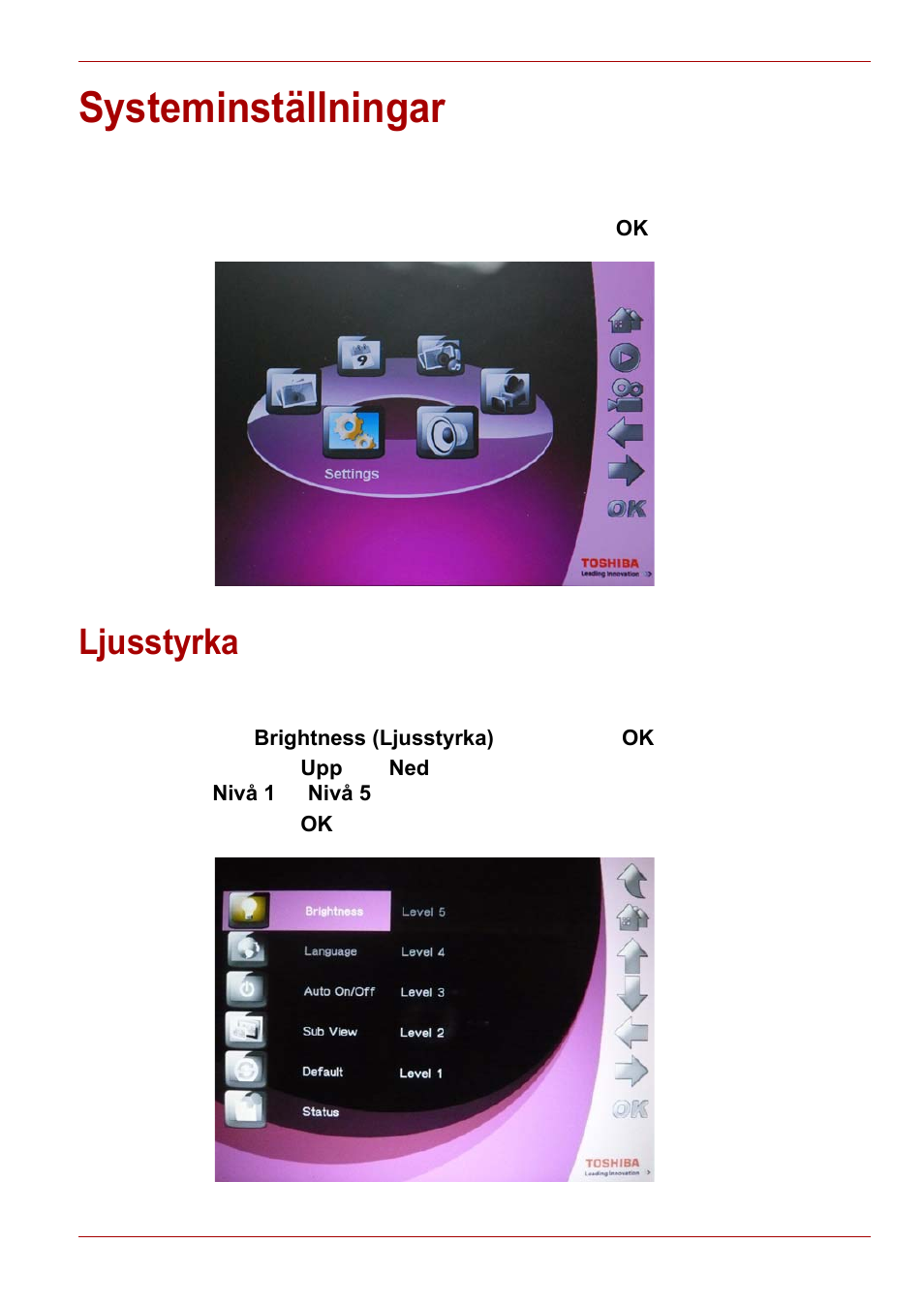 Systeminställningar, Ljusstyrka | Toshiba Gigaframe L80-81 User Manual | Page 517 / 870