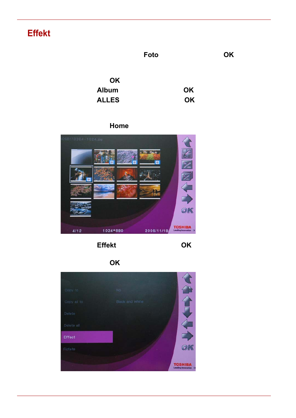 Effekt | Toshiba Gigaframe L80-81 User Manual | Page 62 / 870