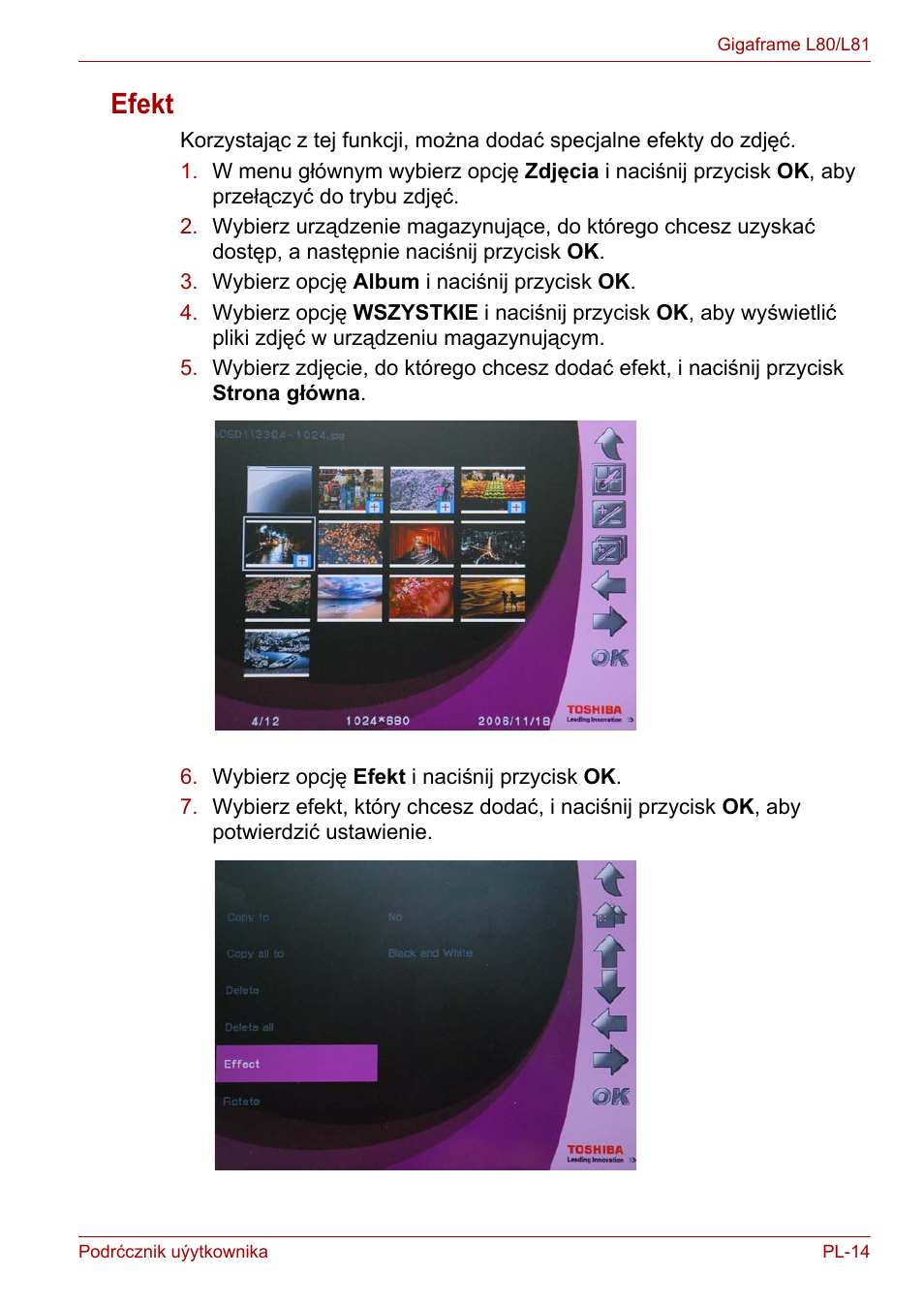 Efekt | Toshiba Gigaframe L80-81 User Manual | Page 689 / 870