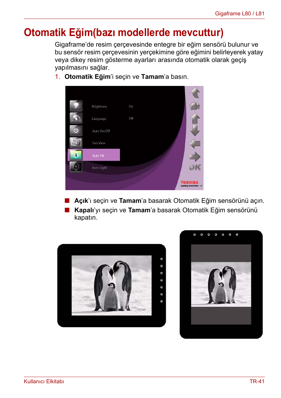 Otomatik eğim(bazı modellerde mevcuttur) | Toshiba Gigaframe L80-81 User Manual | Page 863 / 870