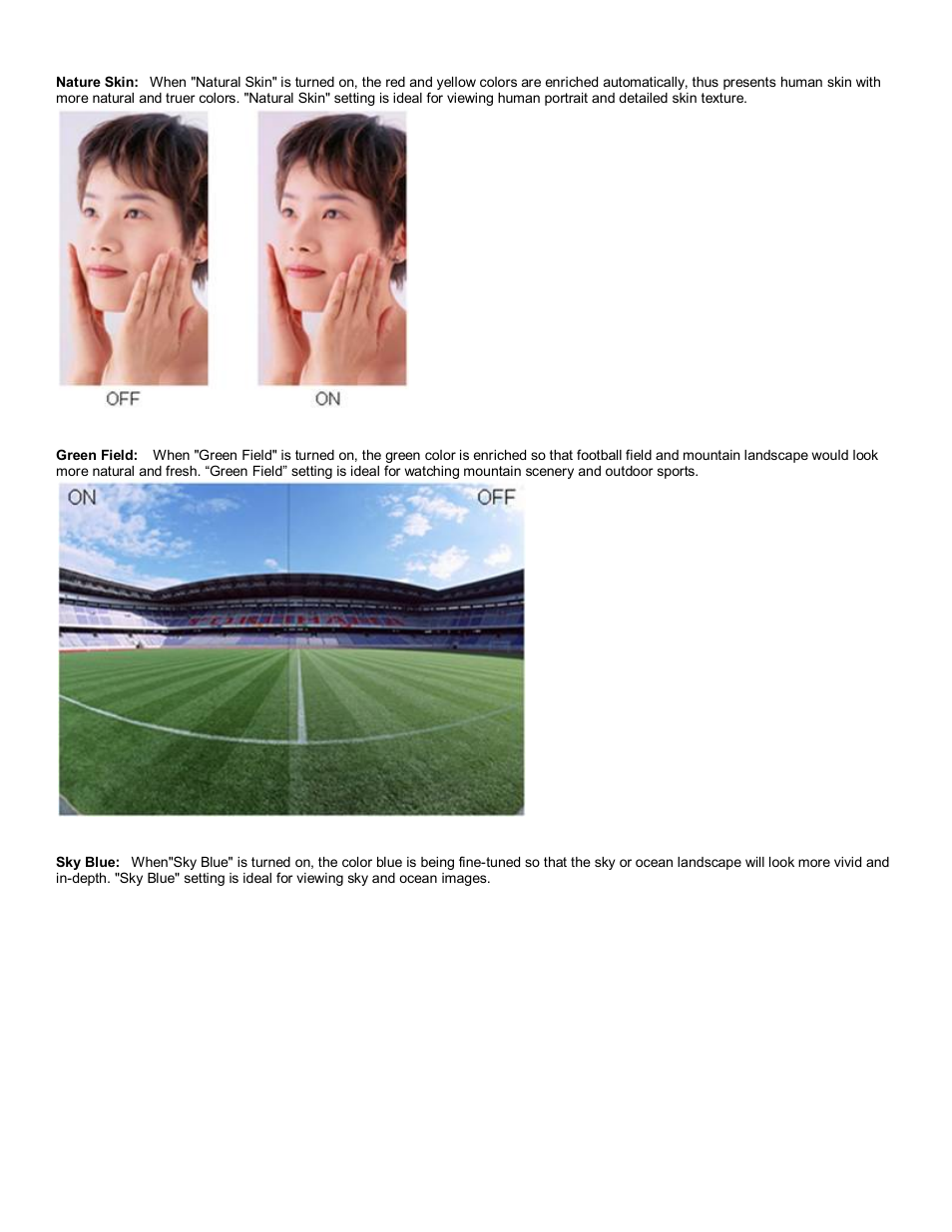 AOC 2216Vw User Manual | Page 10 / 17