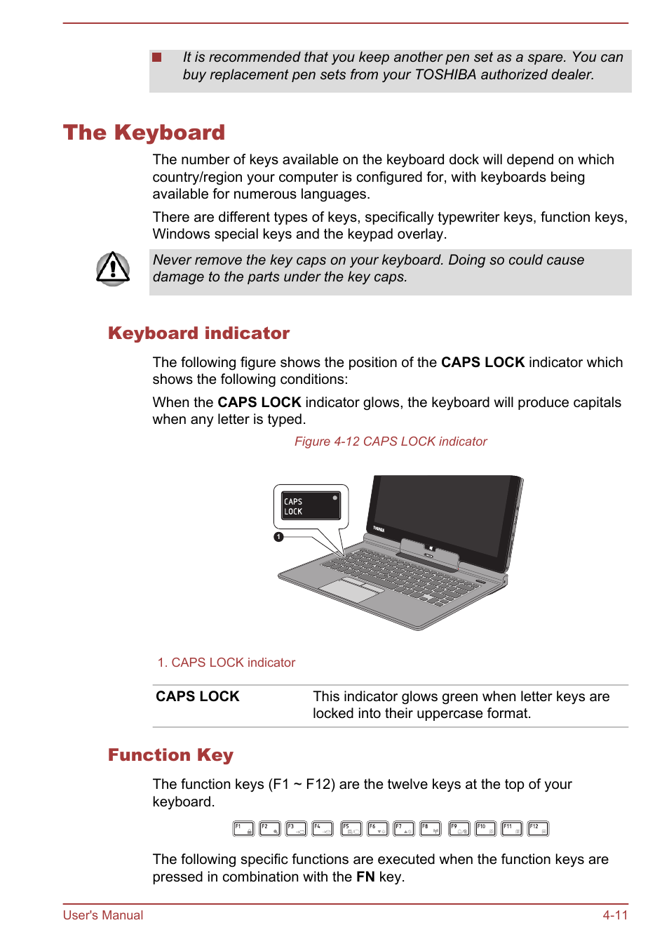 The keyboard, Keyboard indicator, Function key | The keyboard -11 | Toshiba WT310 User Manual | Page 60 / 131