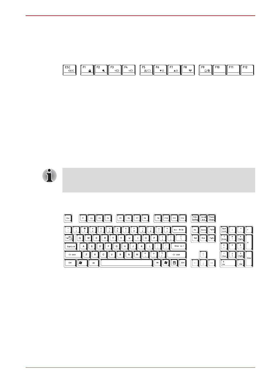 Function keys: f1 … f12, Soft keys: fn key combinations | Toshiba SATELLITE A665 User Manual | Page 141 / 213