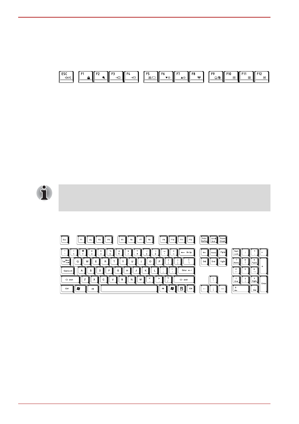 Function keys: f1 … f12, Soft keys: fn key combinations | Toshiba SATELLITE A665 User Manual | Page 146 / 236