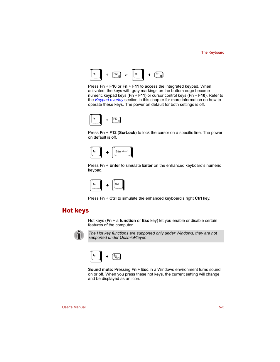 Hot keys, Hot keys -3 | Toshiba Qosmio G20 (PQG20) User Manual | Page 101 / 264