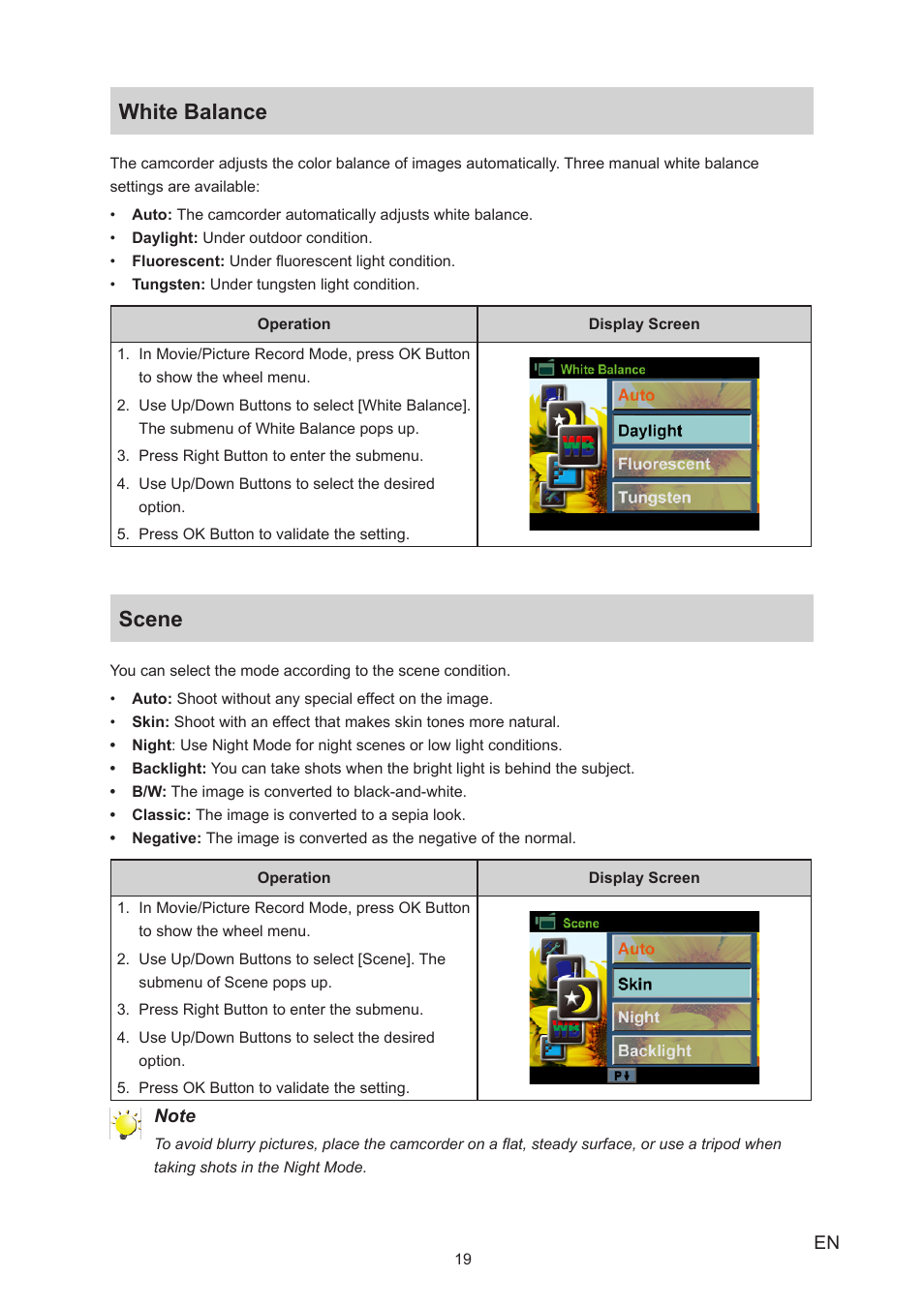 White balance, Scene, White balance scene | Toshiba Camileo S20 User Manual | Page 19 / 49