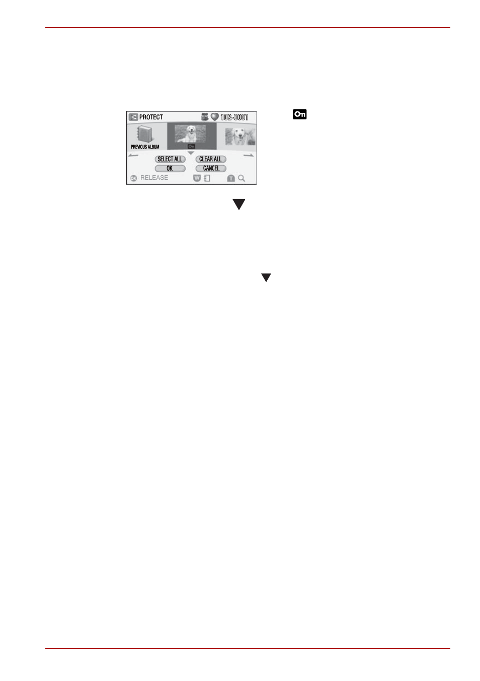 Removing protection | Toshiba Gigashot K Series User Manual | Page 101 / 162