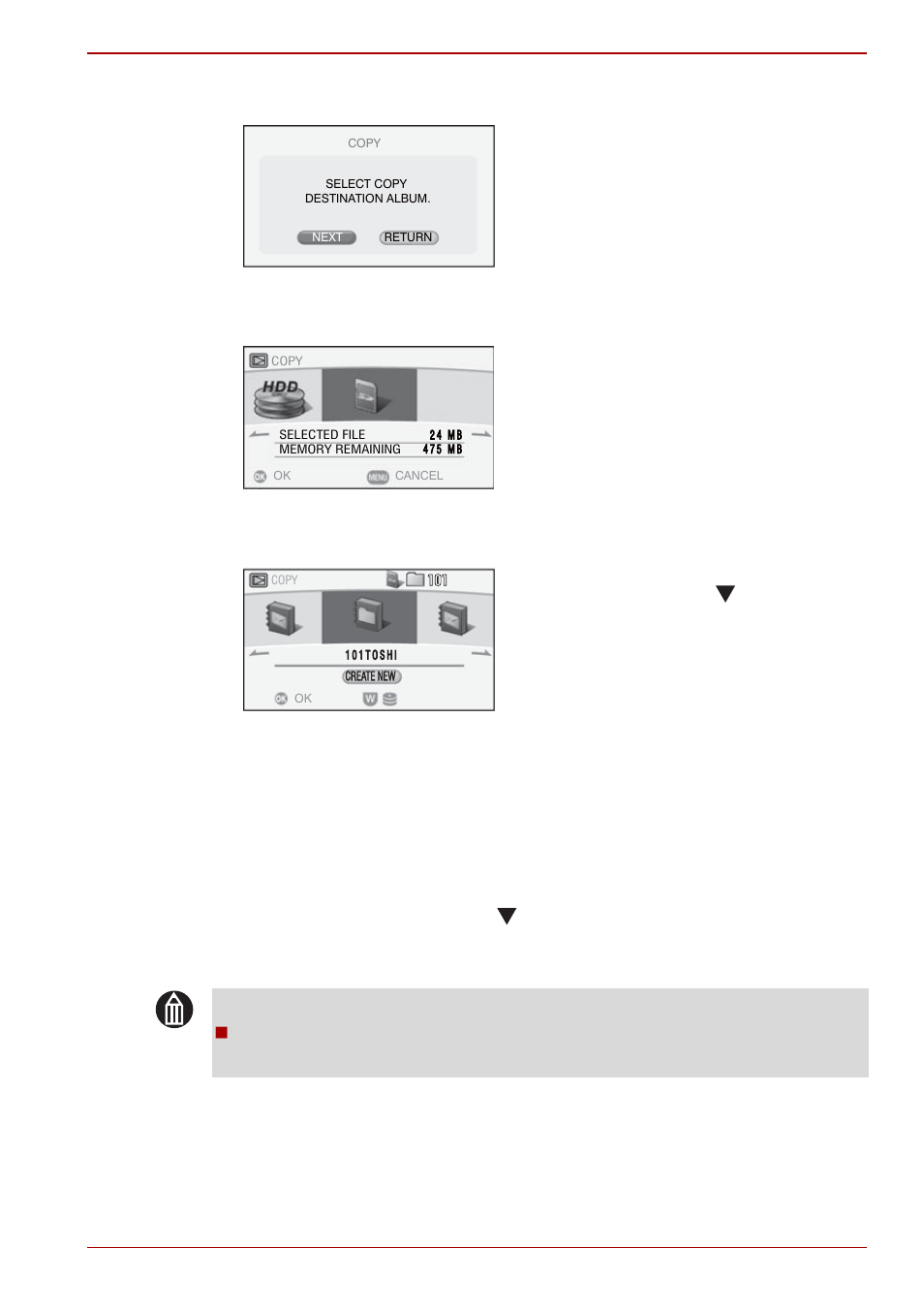 Confirming images in enlarged view, Copying all images in an album | Toshiba Gigashot K Series User Manual | Page 103 / 162