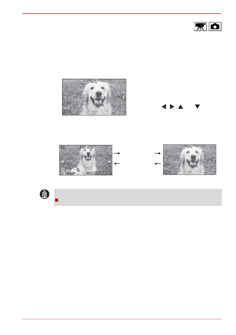 Using zoomed playback, Zoomed still image playback | Toshiba Gigashot K Series User Manual | Page 93 / 162
