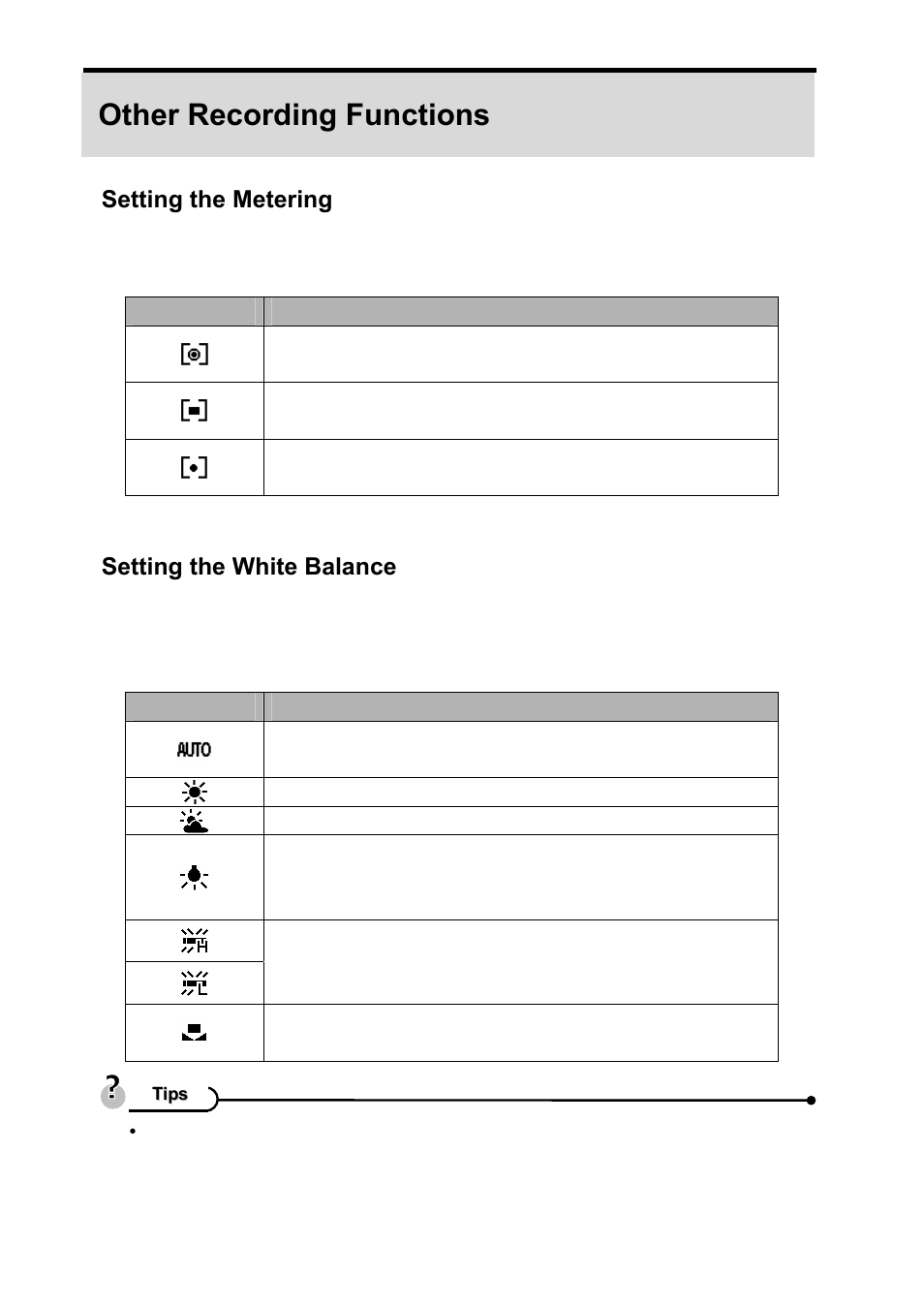 Other recording functions, Setting the metering, Setting the white balance | AGFA DC-630i User Manual | Page 35 / 63