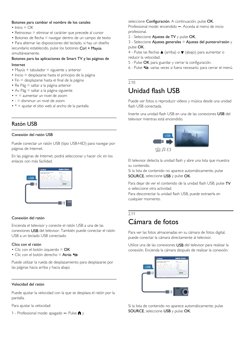 10 - unidad flash usb, 11 - cámara de fotos, 10 unidad flash usb | 11 cámara de fotos, Unidad flash usb, Cámara de fotos, Ratón usb | Philips Televisor LED Profesional User Manual | Page 13 / 89