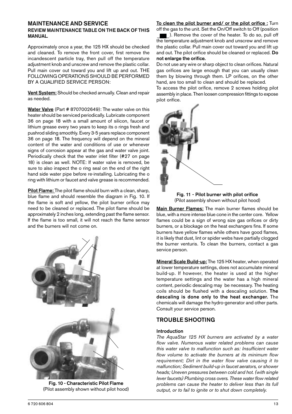 Maintenance and service, Trouble shooting | AquaStar 125HXNG User Manual | Page 13 / 24