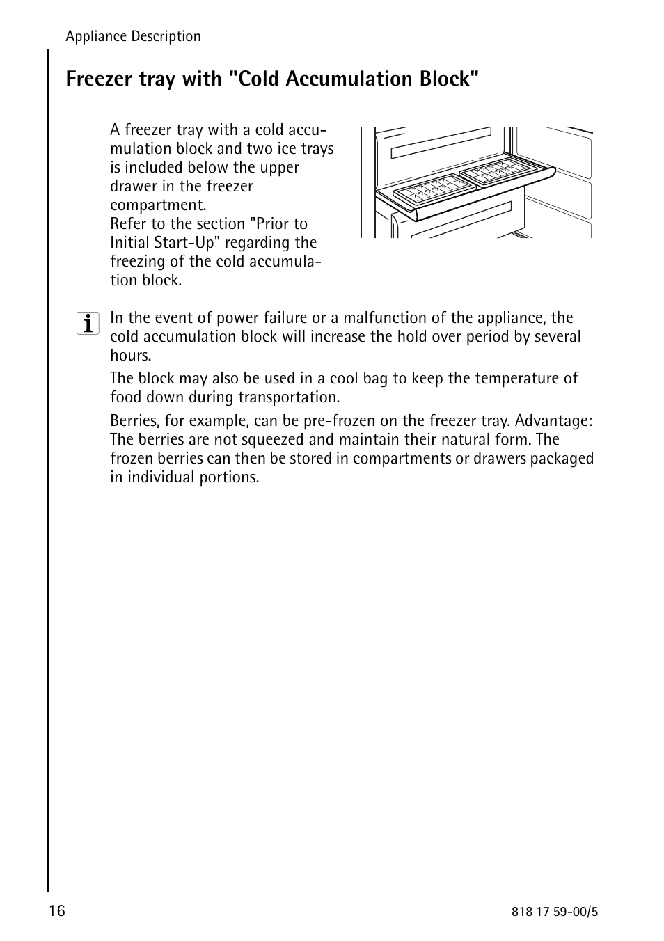Freezer tray with "cold accumulation block | AEG SANTO 3150-7 KG User Manual | Page 16 / 40