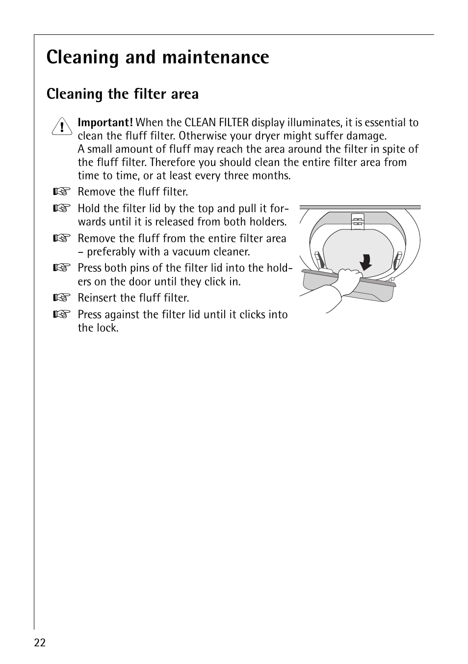 Cleaning and maintenance, Cleaning the filter area | AEG LAVATHERM 37320 User Manual | Page 22 / 36