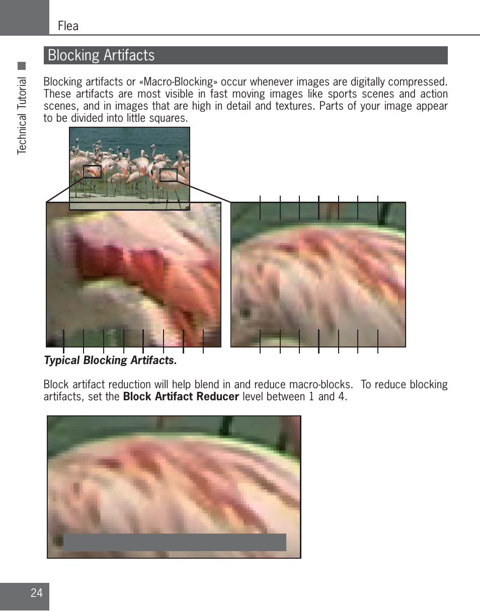 Blocking artifacts | Algolith C3012-8001-200 User Manual | Page 24 / 32