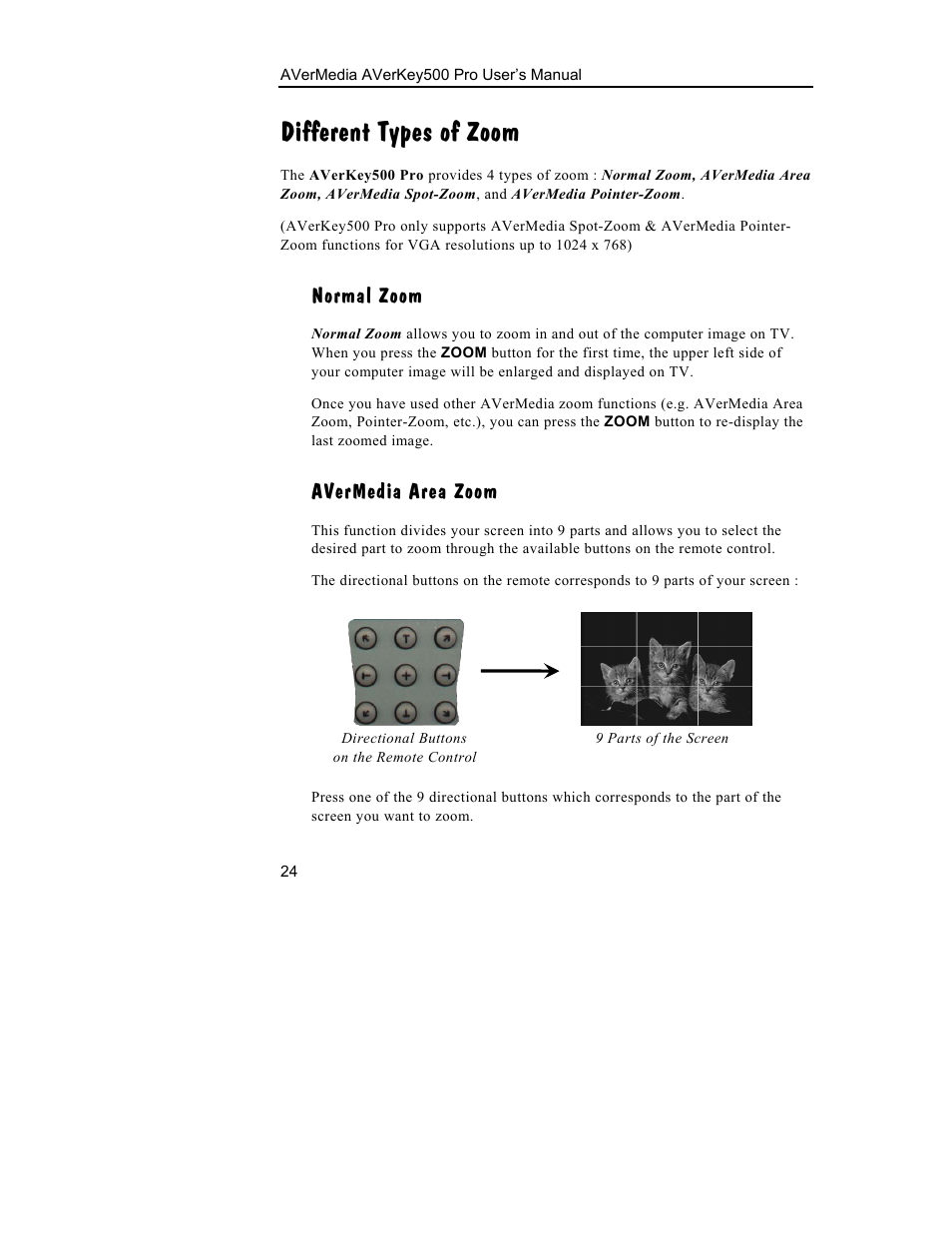 Different types of zoom, Normal zoom, Avermedia area zoom | AVerMedia Technologies 500 User Manual | Page 27 / 37