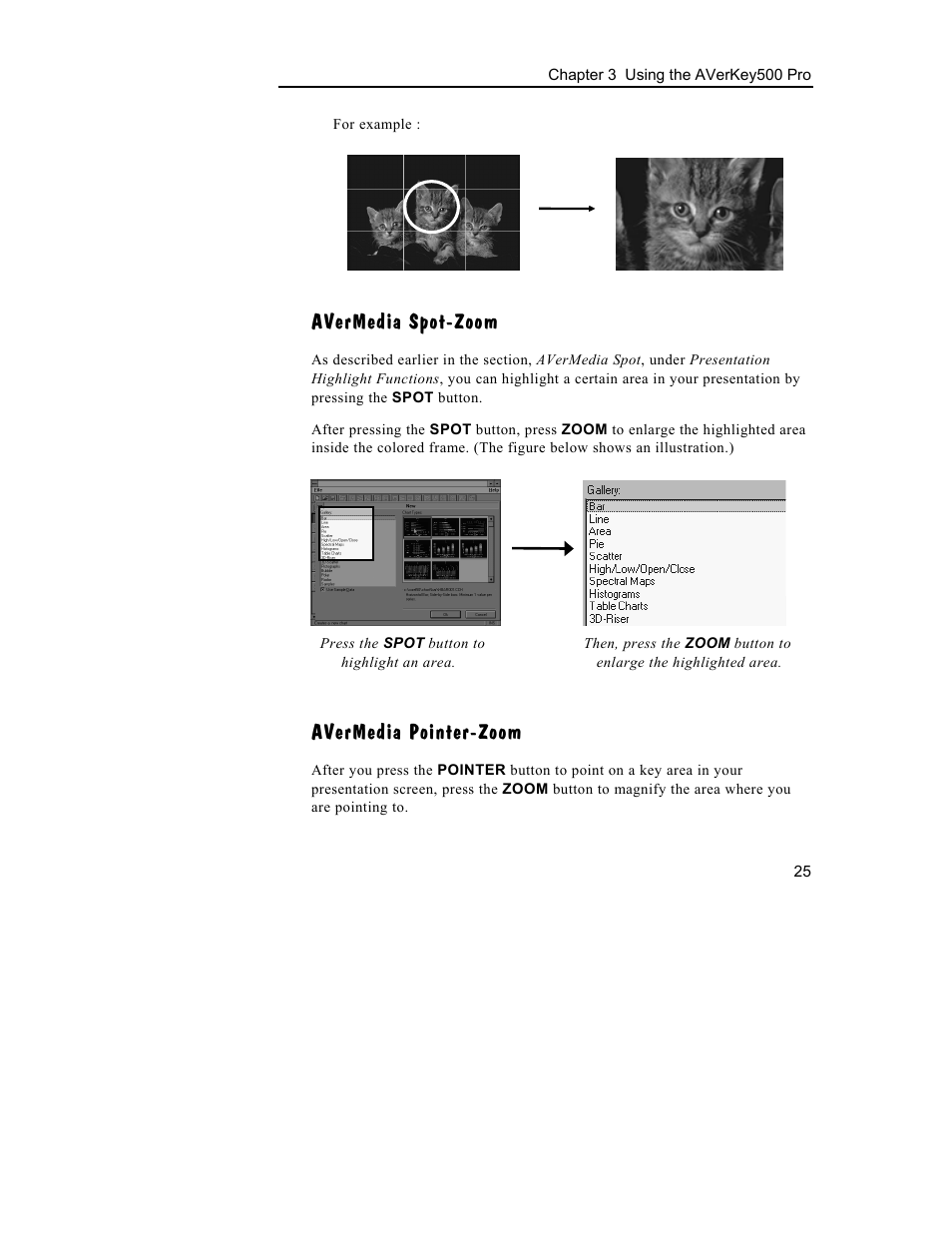 Avermedia spot-zoom, Avermedia pointer-zoom | AVerMedia Technologies 500 User Manual | Page 28 / 37