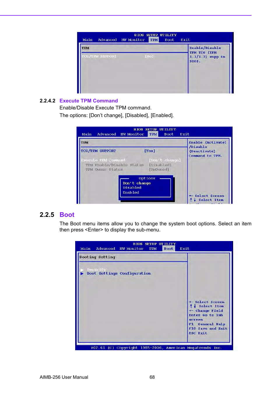 2 execute tpm command, 5 boot, Boot | Advantech AIMB-256 User Manual | Page 74 / 86