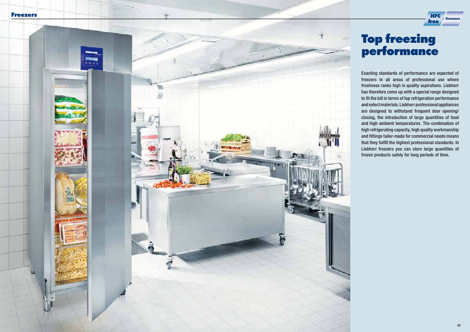 Top freezing performance | Liebherr WKt 5552 GrandCru User Manual | Page 22 / 51