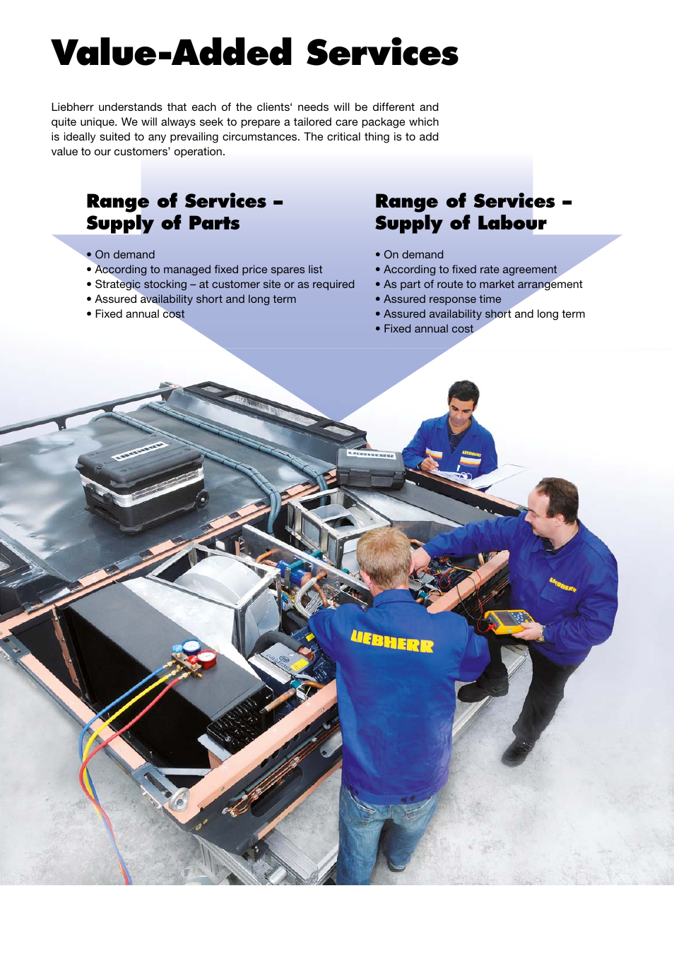 Value-added services | Liebherr Downloads User Manual | Page 3 / 6