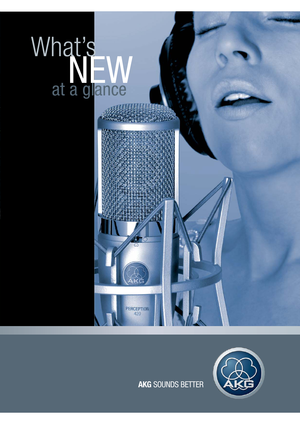 AKG Acoustics Perception 420 User Manual | 12 pages