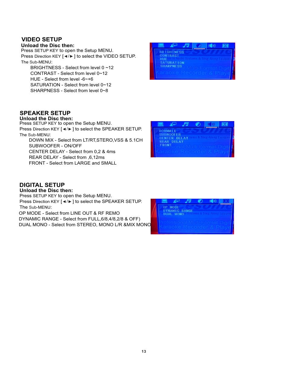 Video setup, Speaker setup, Digital setup | Acesonic DGX-212 User Manual | Page 14 / 23