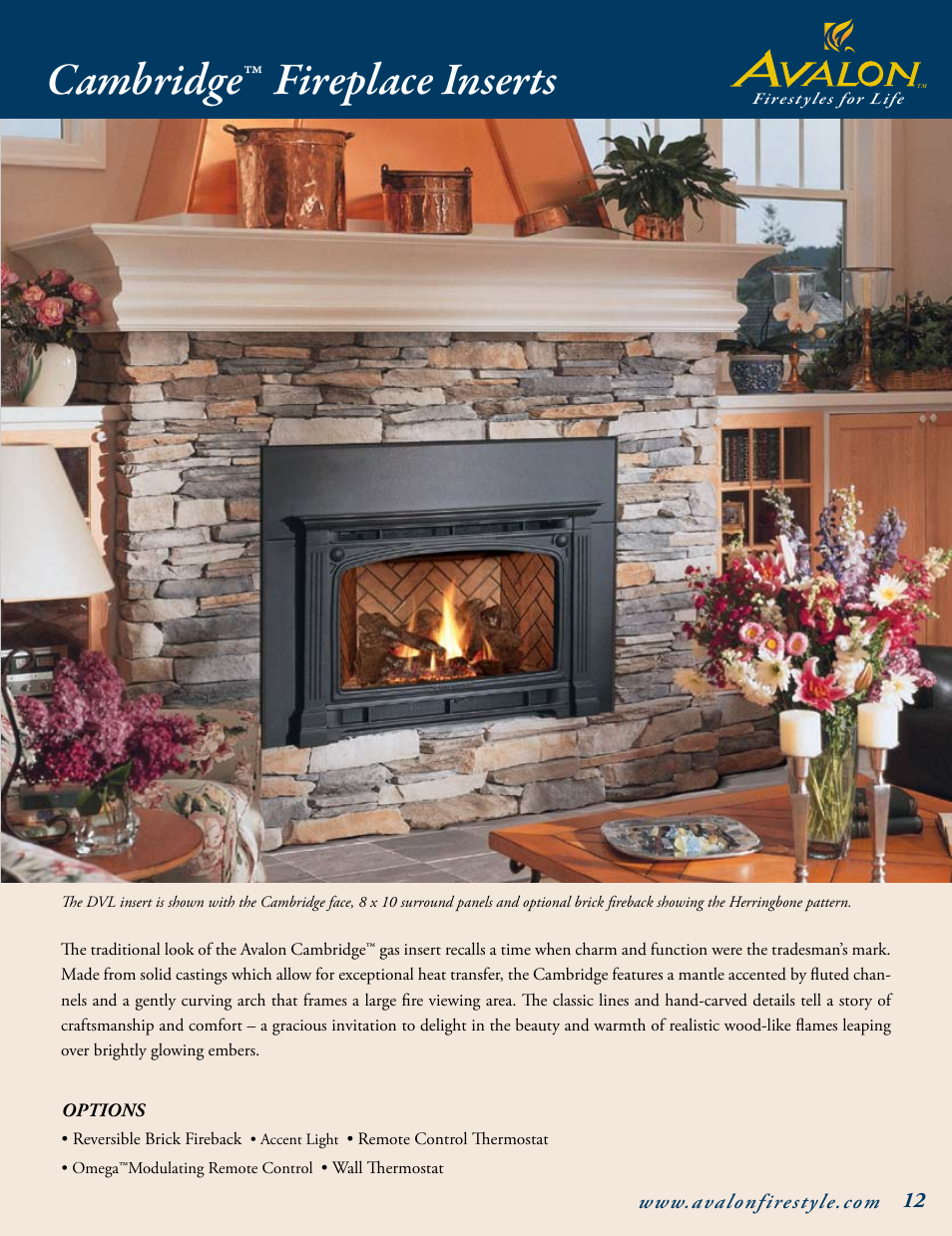 Cambridge, Fireplace inserts | Avalon Stoves Gas Stove & Fireplace User Manual | Page 13 / 24