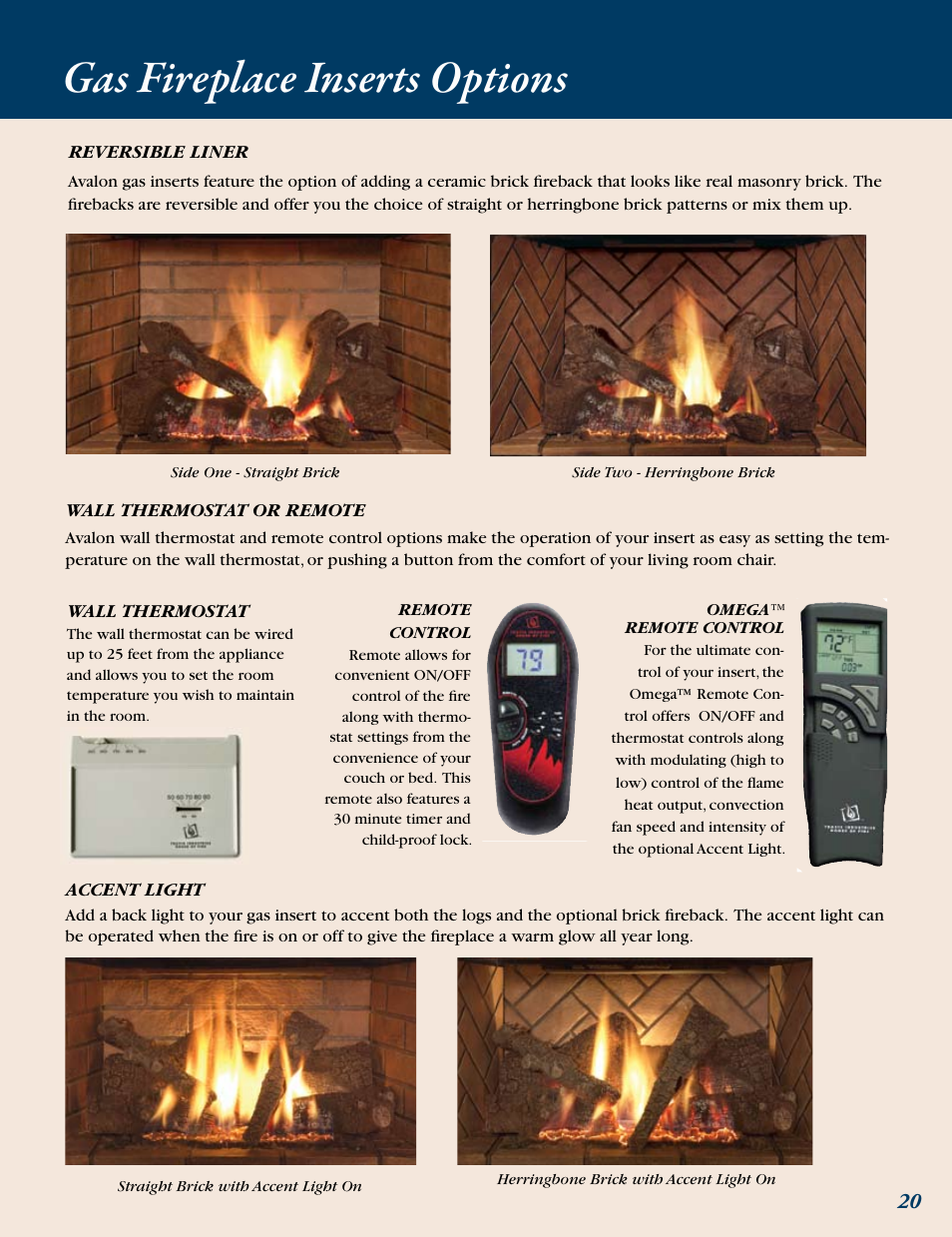 Gas fireplace inserts options | Avalon Stoves Gas Stove & Fireplace User Manual | Page 21 / 24